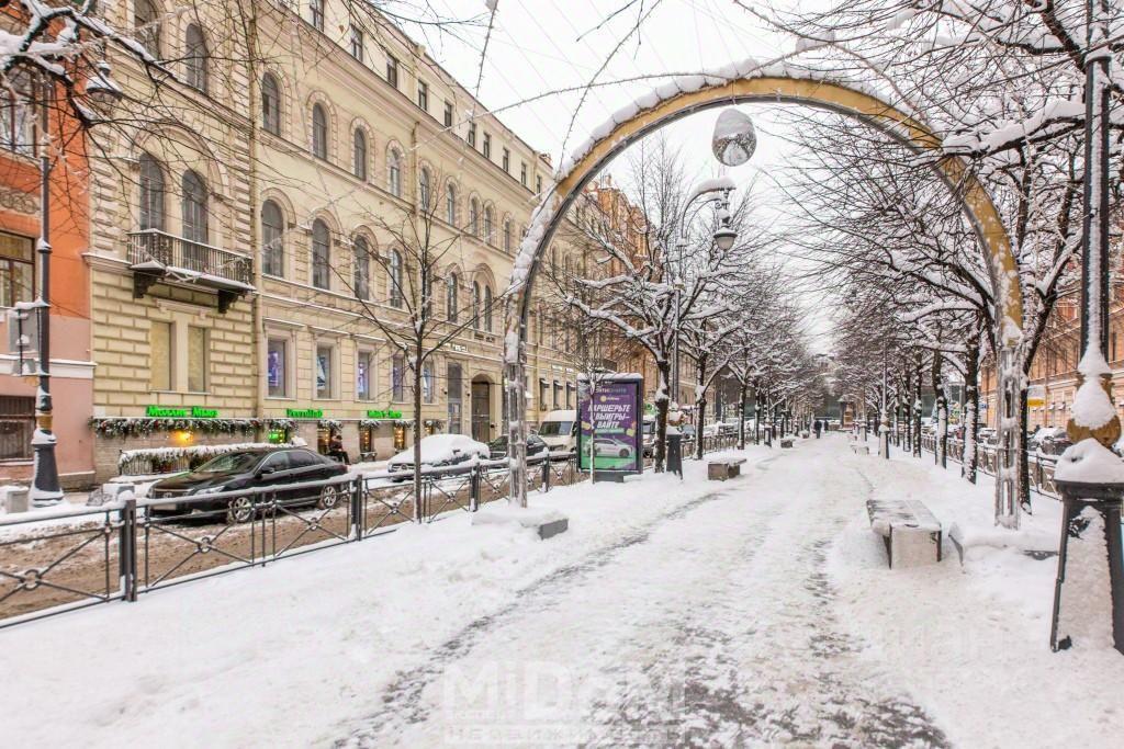 квартира г Санкт-Петербург п Шушары Центральный район наб Реки Мойки 14 Дворцовый округ, Ленинградская область фото 34