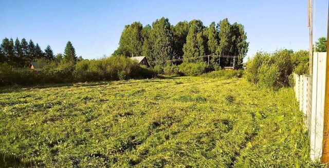 земля д Красные Холмы 41 км, городской округ Чехов, Любучаны, Симферопольское шоссе фото