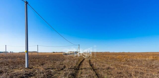 пер Полевой Червишевское сельское поселение фото