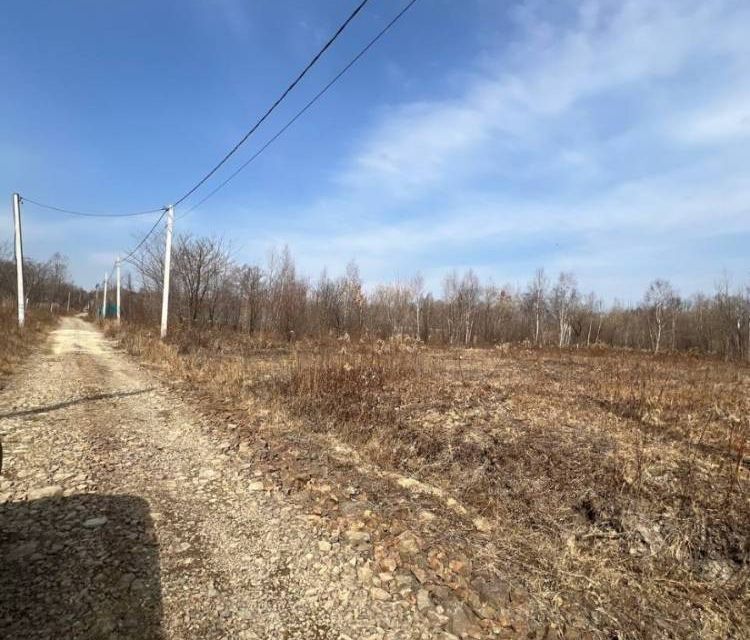 земля г Артем Артёмовский городской округ, СТ Клён-1 фото 2