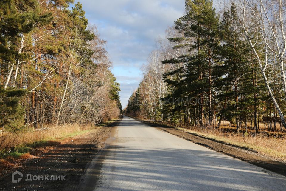 земля р-н Тюменский с Успенка ул Молодежная 8 фото 2