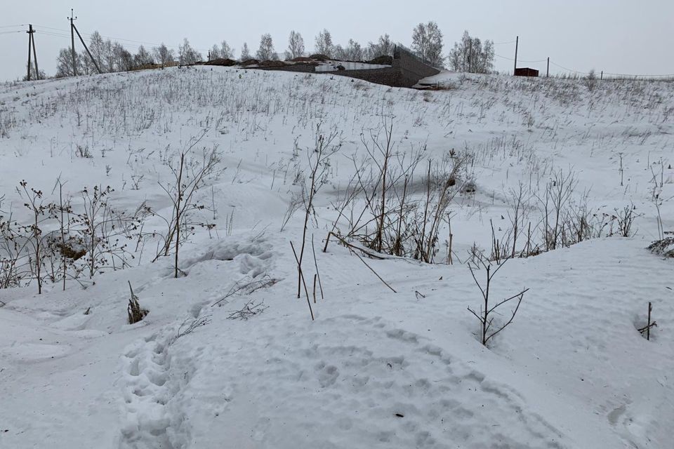 земля г Красноярск Красноярск городской округ, СНТ Овинный-21 фото 3