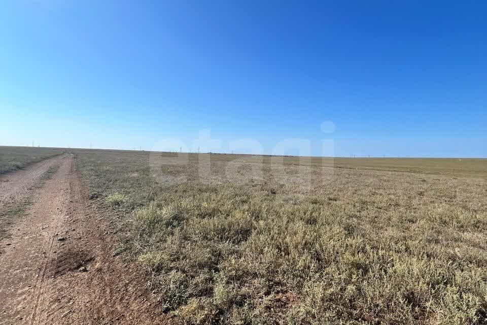 земля р-н Черноморский фото 5