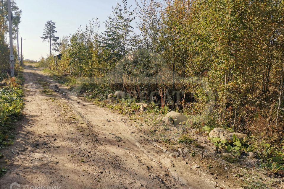 земля р-н Всеволожский СНТ Агалатово фото 4