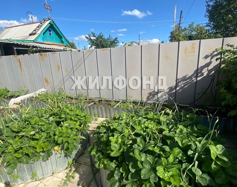 дом г Новосибирск СНТ Сибирский садовод, Новосибирск городской округ фото 8