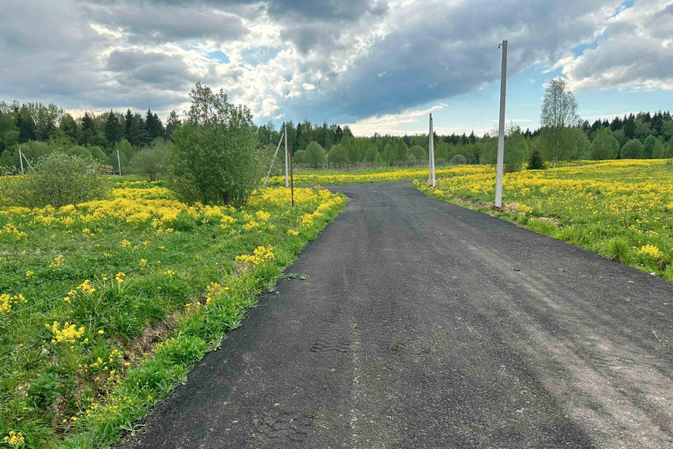 земля городской округ Сергиево-Посадский Яркое фото 3