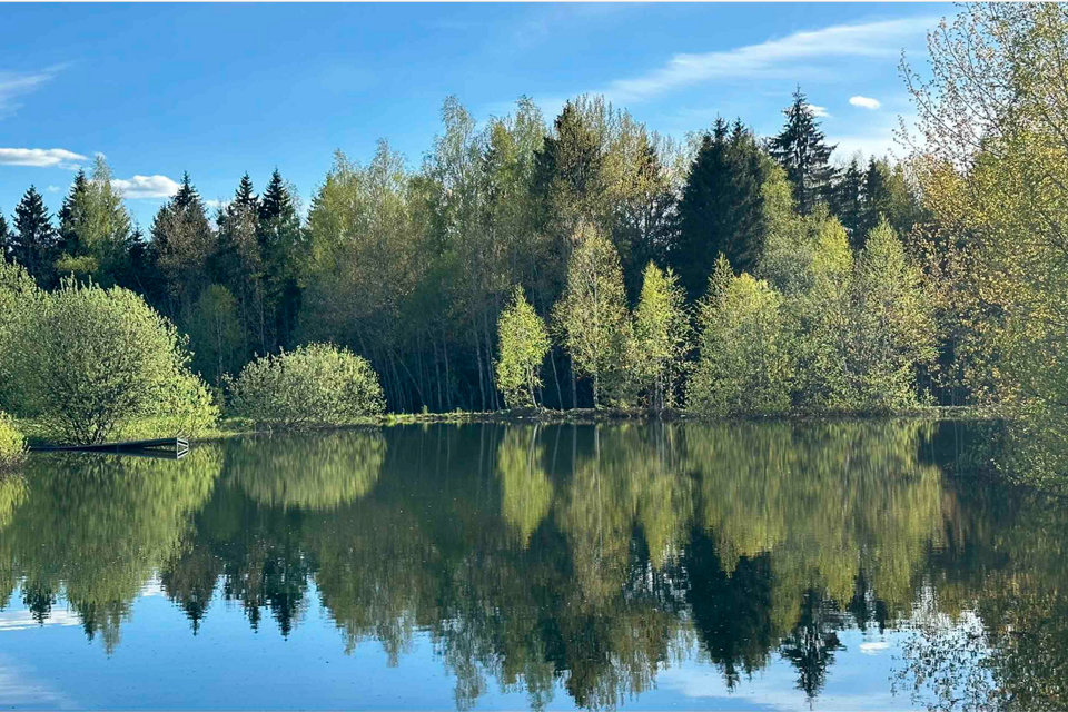 земля городской округ Сергиево-Посадский Яркое фото 2