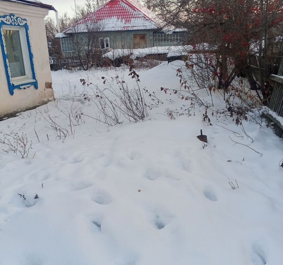 дом р-н Рубцовский с Новониколаевка ул Митусовой 13 Новониколаевский сельсовет, Рубцовск фото 4