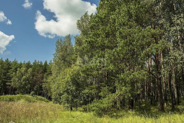 Полевской городской округ, село Курганово фото