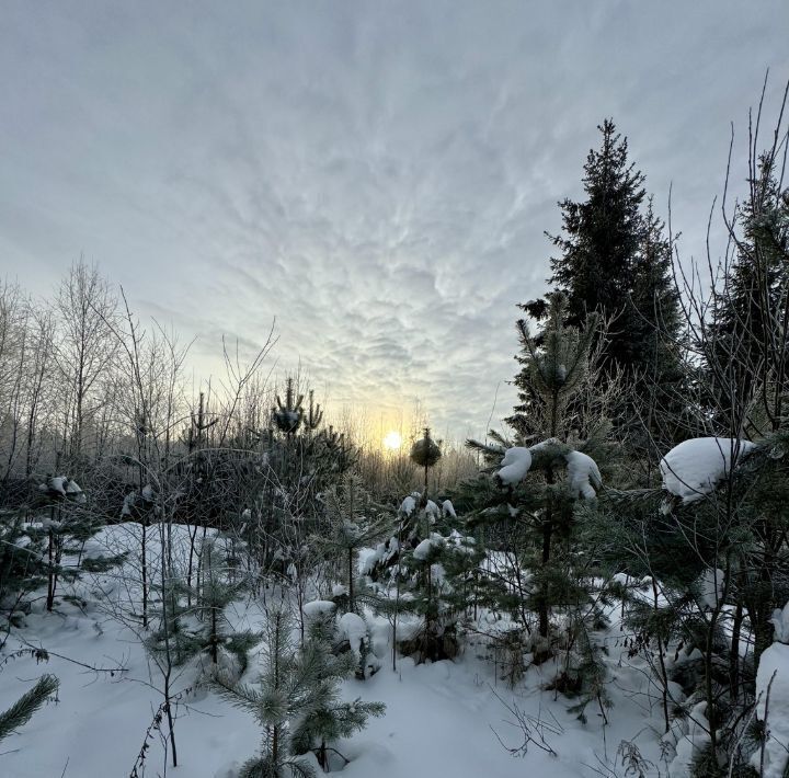 дом городской округ Красногорск п Нахабино снт Зарница ул Лесная Нахабино фото 1