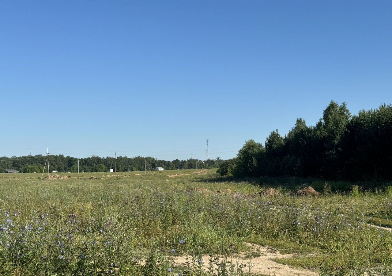 земля городской округ Пушкинский п Правдинский 21 км, коттеджный пос. Братовщина, Ярославское шоссе фото 4