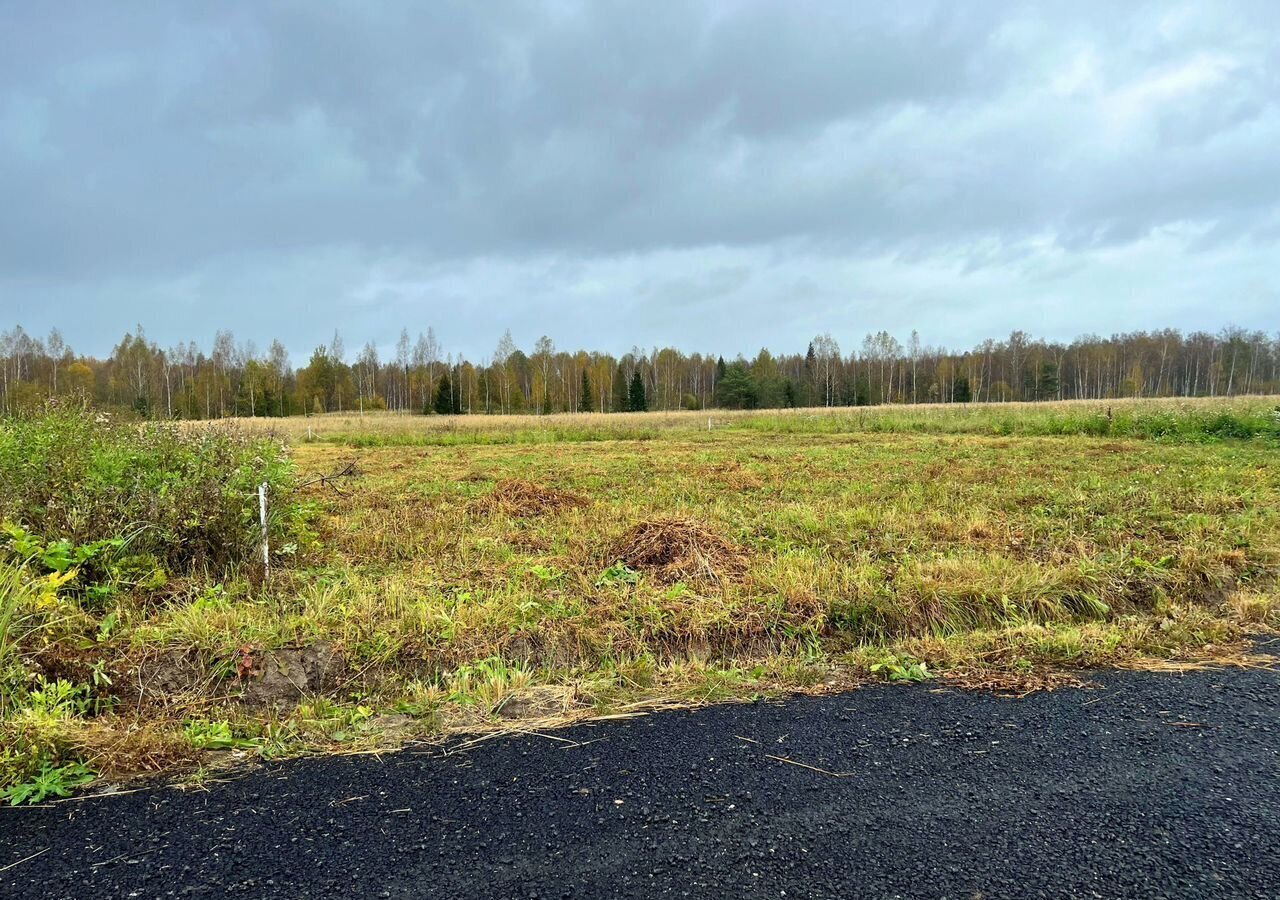 земля городской округ Истра д Загорье 56 км, коттеджный пос. Рижские зори, 430, г. о. Истра, Новопетровское, Новорижское шоссе фото 3