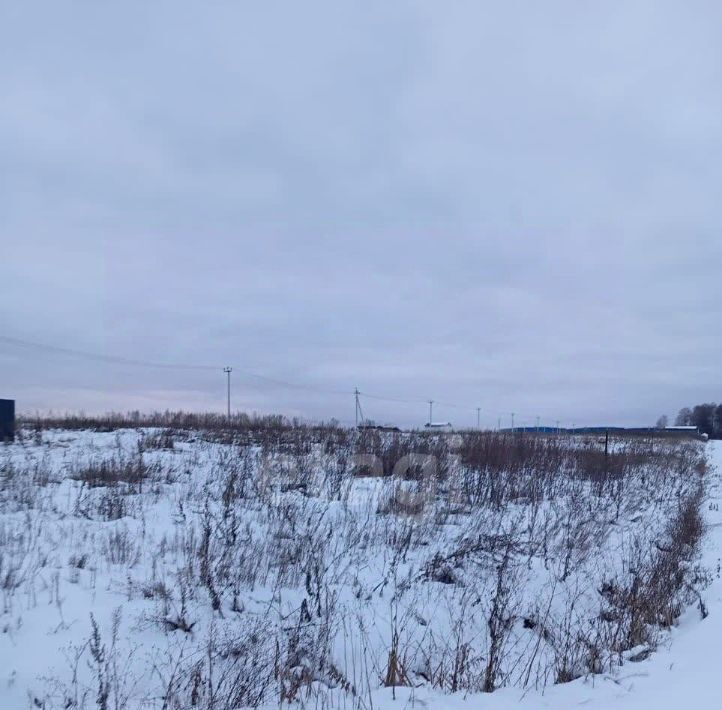 земля городской округ Домодедово д Гальчино 2Г фото 4