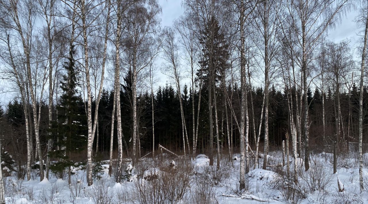 дом городской округ Дмитровский Объединения Ново-Карцево тер., ул. Малиновая фото 22