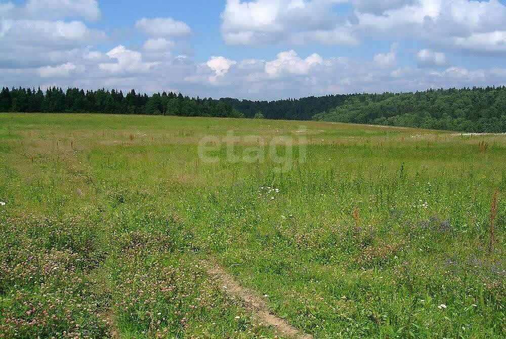 земля р-н Ишимский д Большеудалово ул Зеленая фото 2