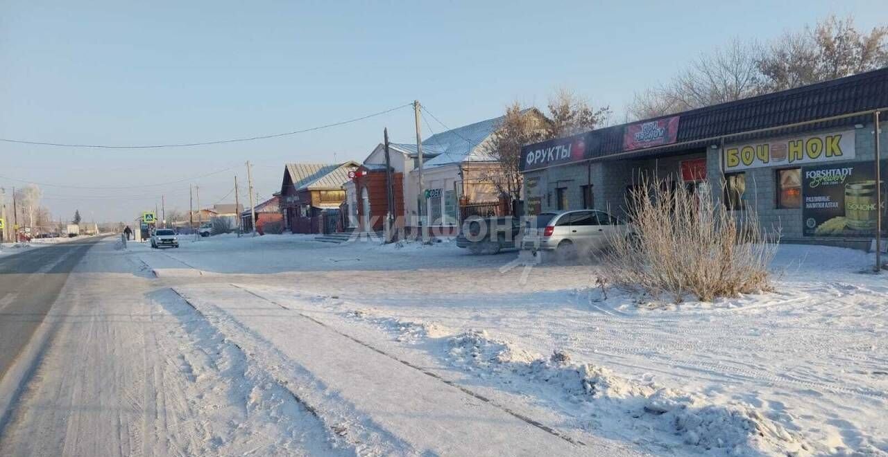 земля р-н Коченевский с Прокудское ул Политотдельская Чик фото 2