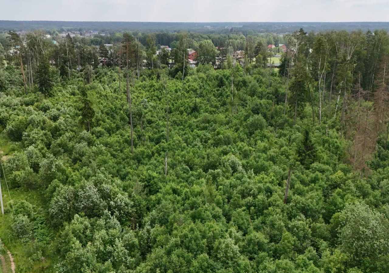 земля городской округ Щёлково д Мишнево ул Кооперативная 44 30 км, Фрязино, Щёлковское шоссе фото 11