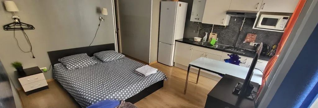 комната г Санкт-Петербург метро Достоевская ул Рубинштейна 27 фото 2