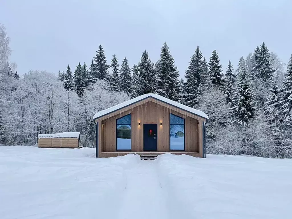 дом городской округ Орехово-Зуевский п Хвойный Лес территория, 203, Истра фото 3