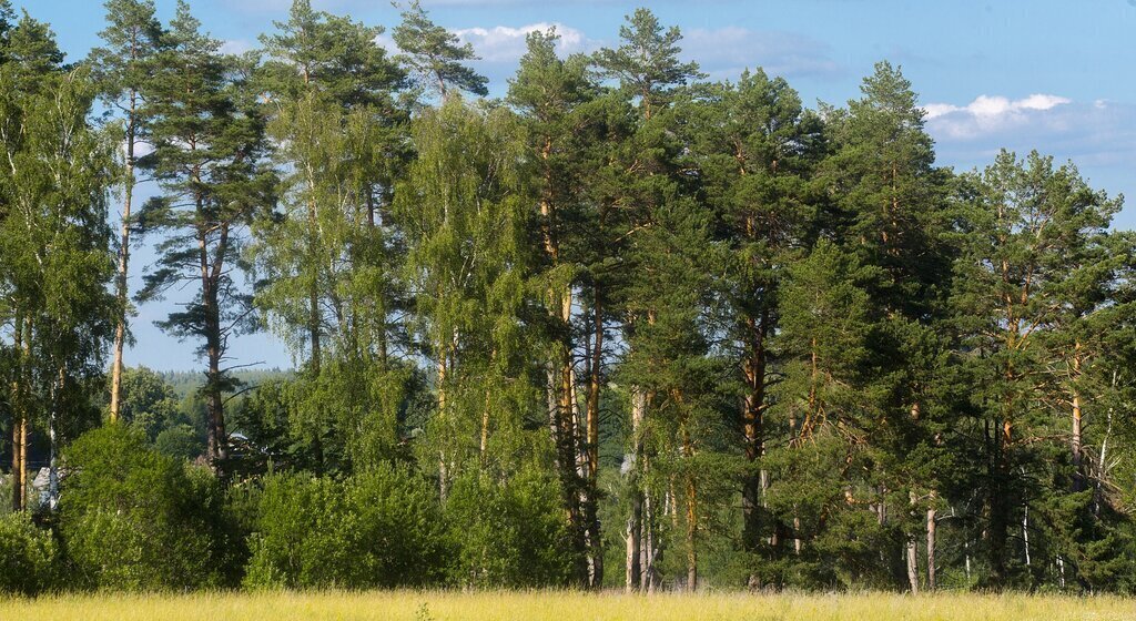 земля г Ступино коттеджный посёлок Живописный берег фото 1