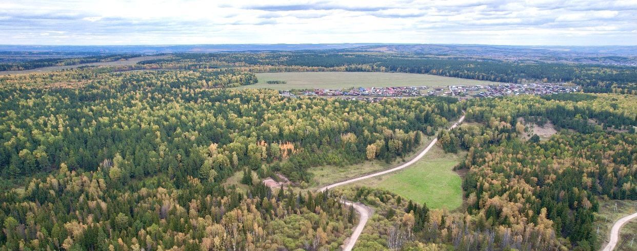 земля р-н Емельяновский с/с Элитовский сельсовет, ул. Живописная фото 11