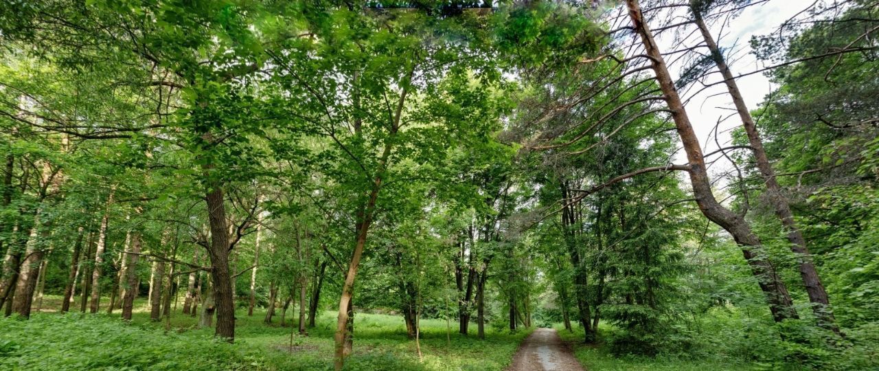 земля р-н Заокский д Конюшино Страховское муниципальное образование фото 22