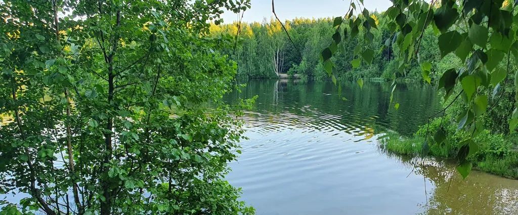 дом г Бор с Кантаурово (Кантауровский с/с) ул Кооперативная 35 фото 12