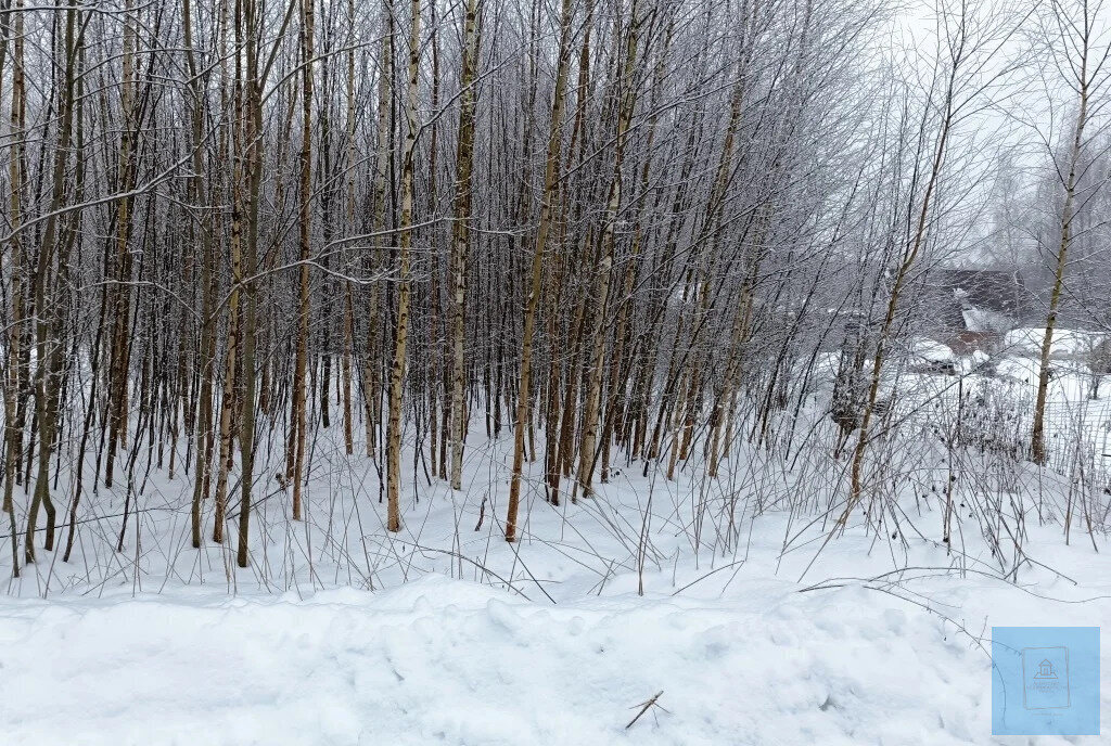 земля городской округ Солнечногорск д Шапкино фото 3