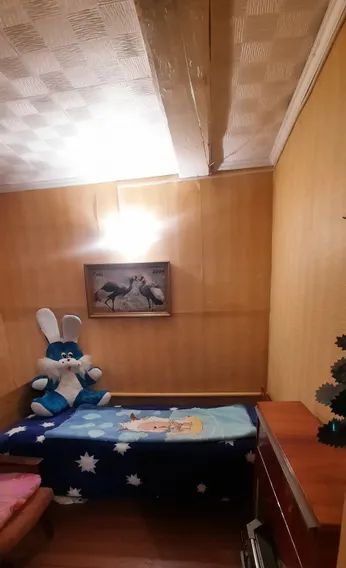 дом г Брянск р-н Бежицкий ул Кирова 6 фото 3