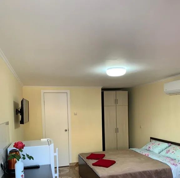 дом г Сочи р-н Центральный ул Виноградная 199/2 фото 3