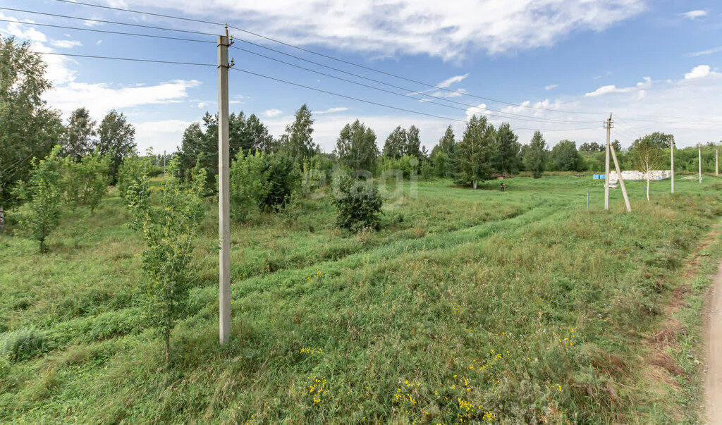 земля г Барнаул п Бельмесево ул Лесопарковая фото 9