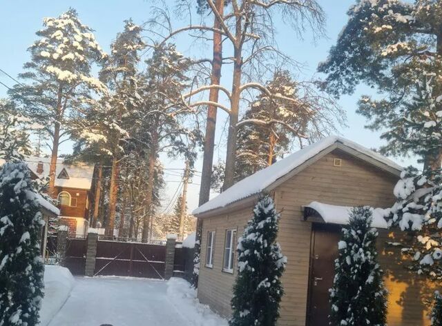 ул Новгородская 15б метро Проспект Просвещения фото
