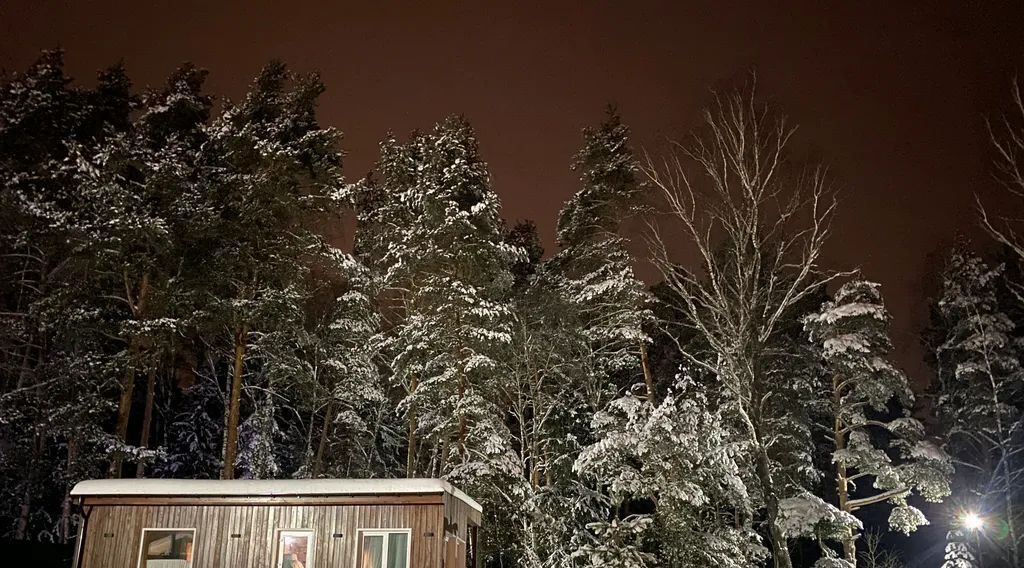 дом городской округ Богородский г Ногинск днп Лесное 125 фото 1