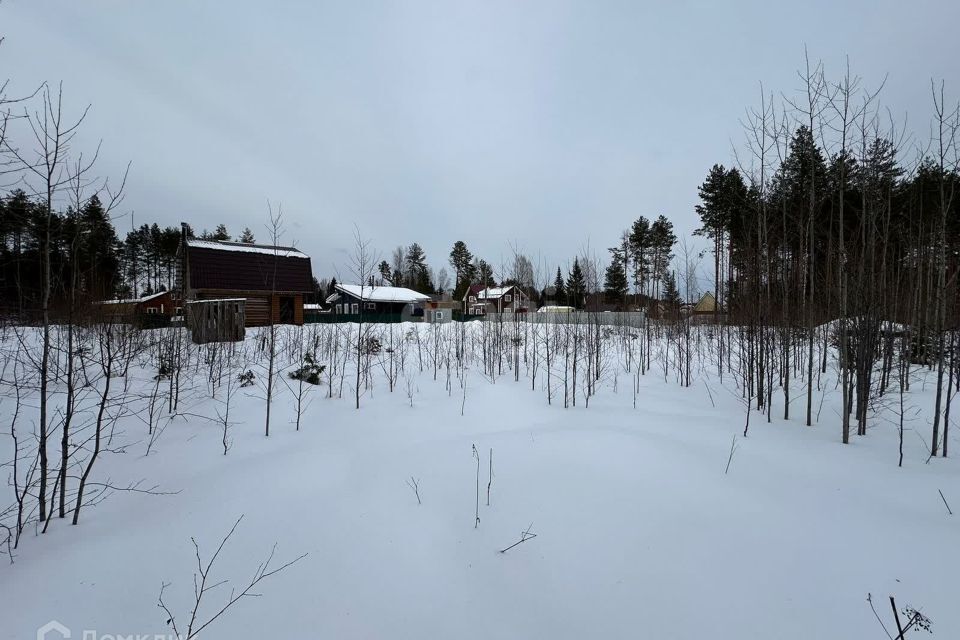 земля г Сыктывкар Сыктывкар городской округ, СНТ Лазурное фото 8