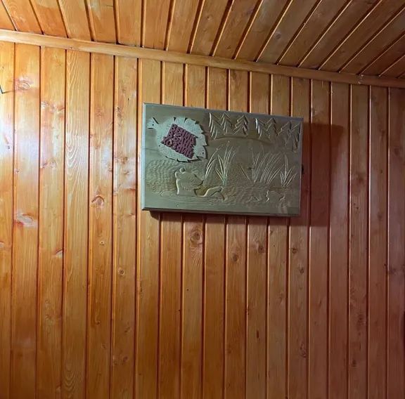 дом р-н Учалинский г Учалы ул Ахметгалина 1 фото 12