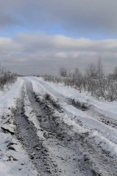 земля р-н Томский с Наумовка ул Пролетарская фото 7