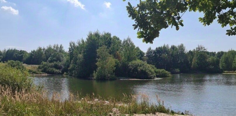 дом городской округ Сергиево-Посадский д Гаврилково снт Васильки ДНТ, 13 фото 48