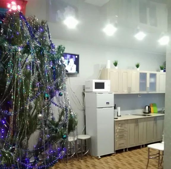 дом г Хвалынск ул Мичурина 48 фото 2