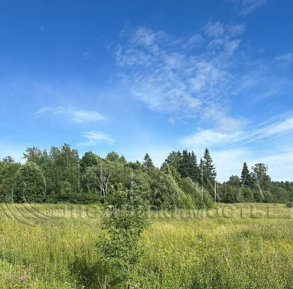 земля р-н Выборгский п Остров Каменногорское городское поселение фото 3