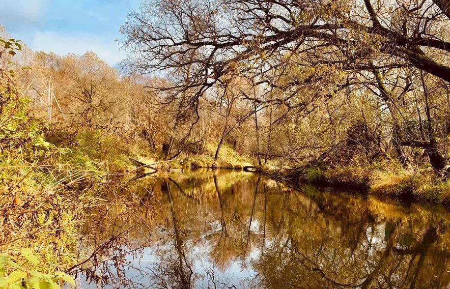 дом городской округ Чехов д Крюково ул Заводская 140 фото 15