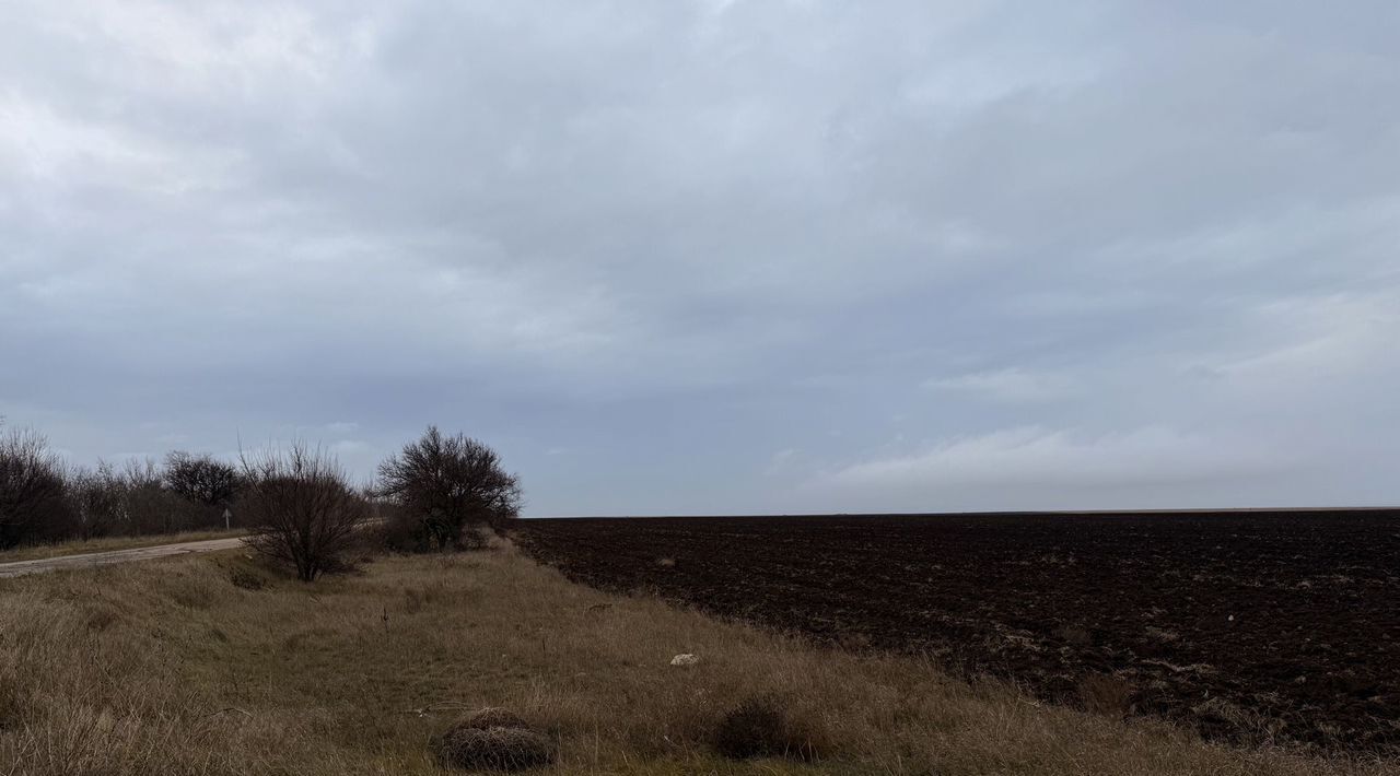 земля р-н Черноморский с Межводное ул Ленина фото 7