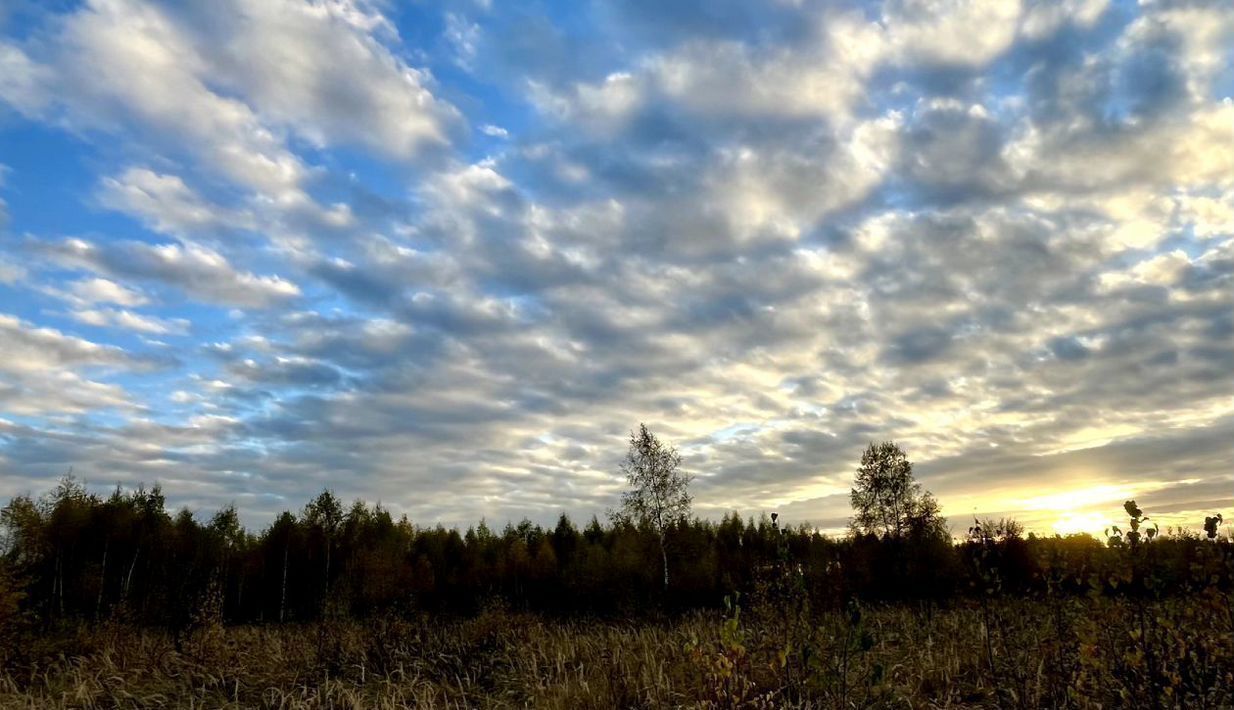 земля городской округ Кашира д Тарасково ул. Лебединая фото 4