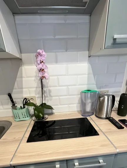 дом р-н Зеленоградский г Зеленоградск ул Герцена 8а фото 10