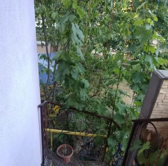 дом г Евпатория ул Матвеева 1 фото 27