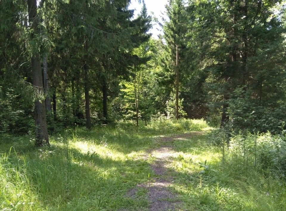 дом городской округ Сергиево-Посадский д Тешилово Медведково, 8 фото 19