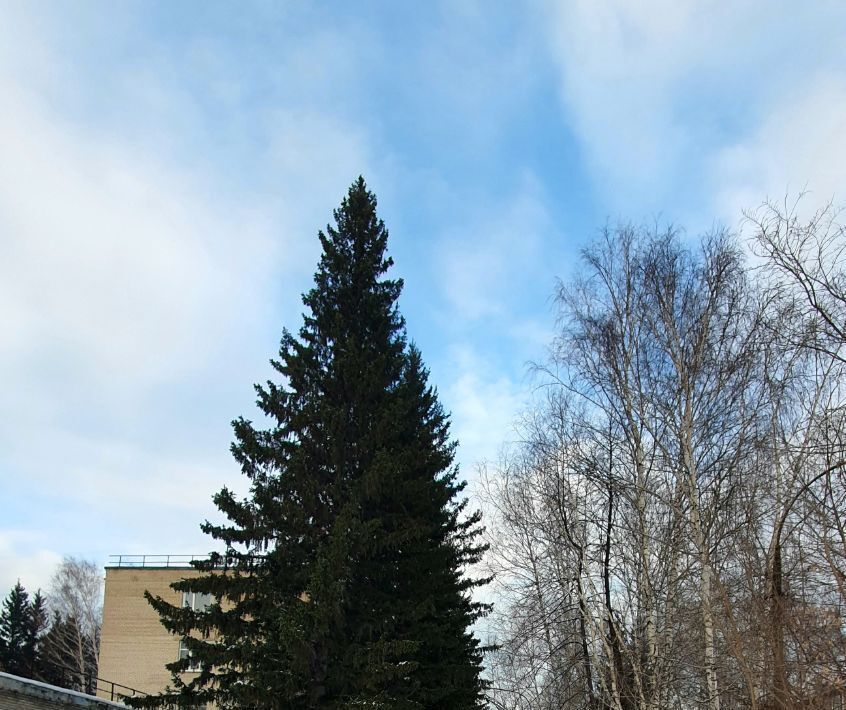 квартира г Барнаул р-н Ленинский ул Юрина 174 фото 17