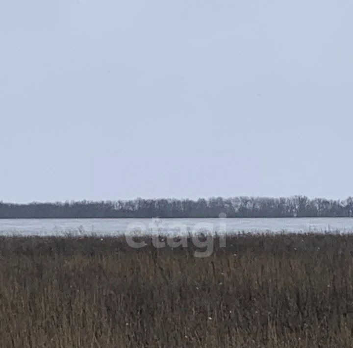 земля р-н Белгородский с Новая Нелидовка р-н мкр Лаванда с пос, Головинское фото 1