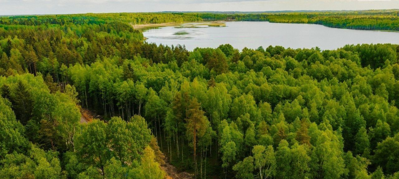 земля р-н Всеволожский Токсовское городское поселение, Экофорест кп фото 1