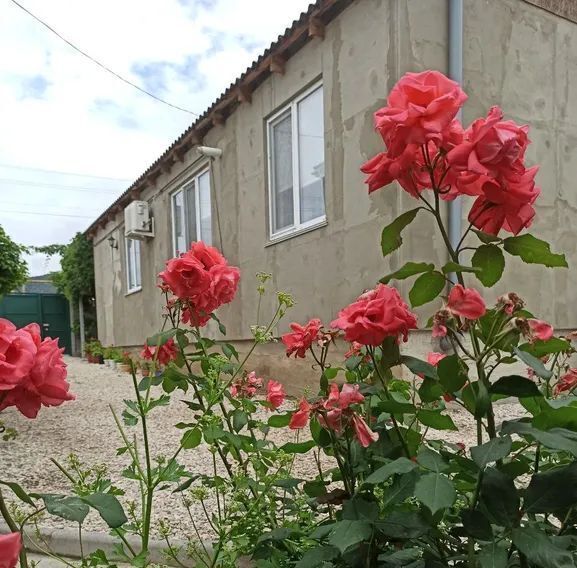 дом г Судак Ветеран садовое товарищество, ул. Родниковая, 24 фото 1