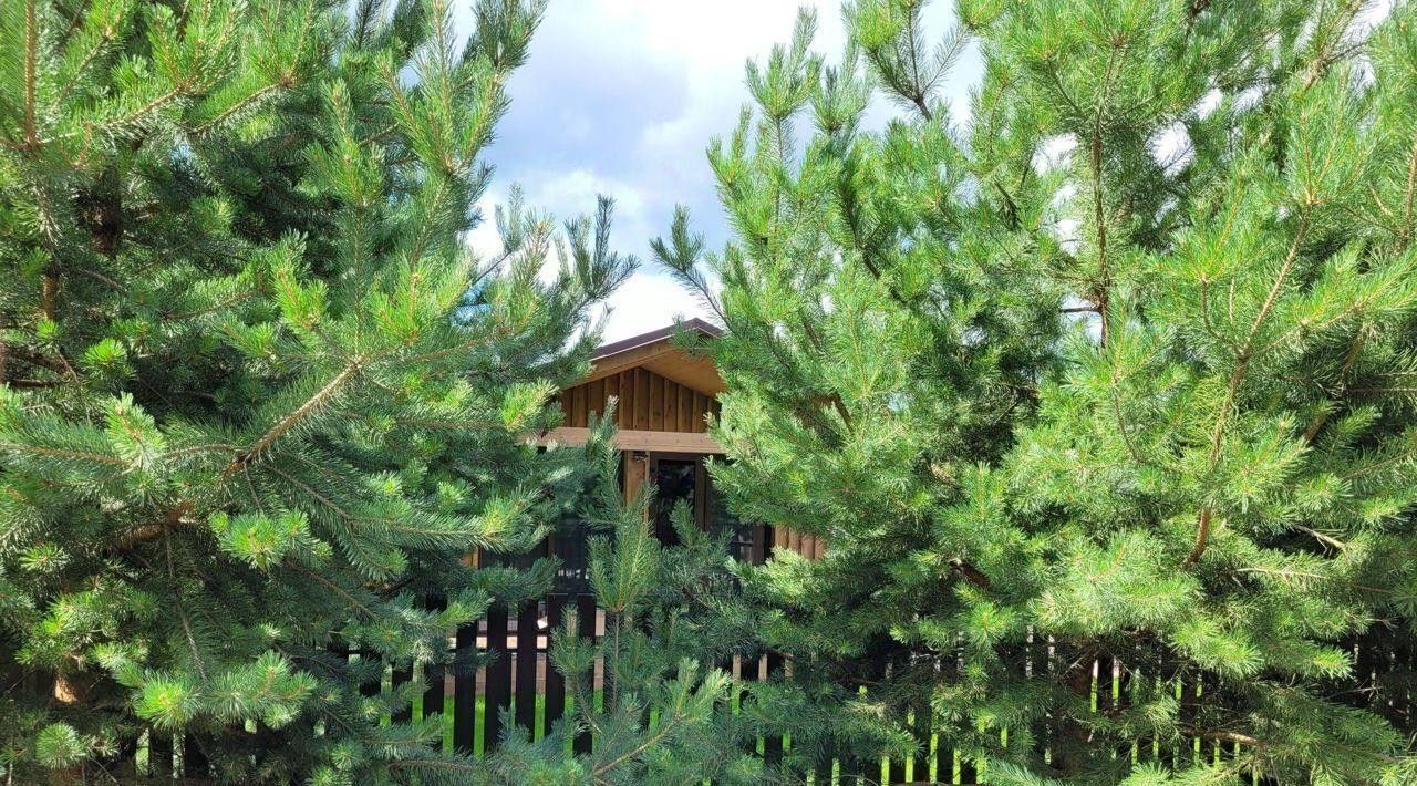 дом городской округ Одинцовский г Звенигород пер Луговой 18 фото 10